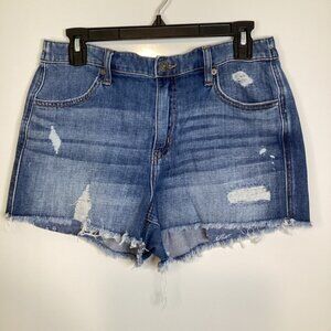 Aerie Daydream Distressed Blue Jean Denim Shorts Medium
